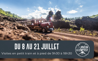 Horaires du 8 au 21 juillet